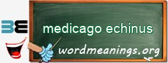 WordMeaning blackboard for medicago echinus